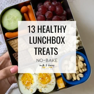 13 healthy no bake lunchbox treats